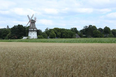 Mühle Oberneuland