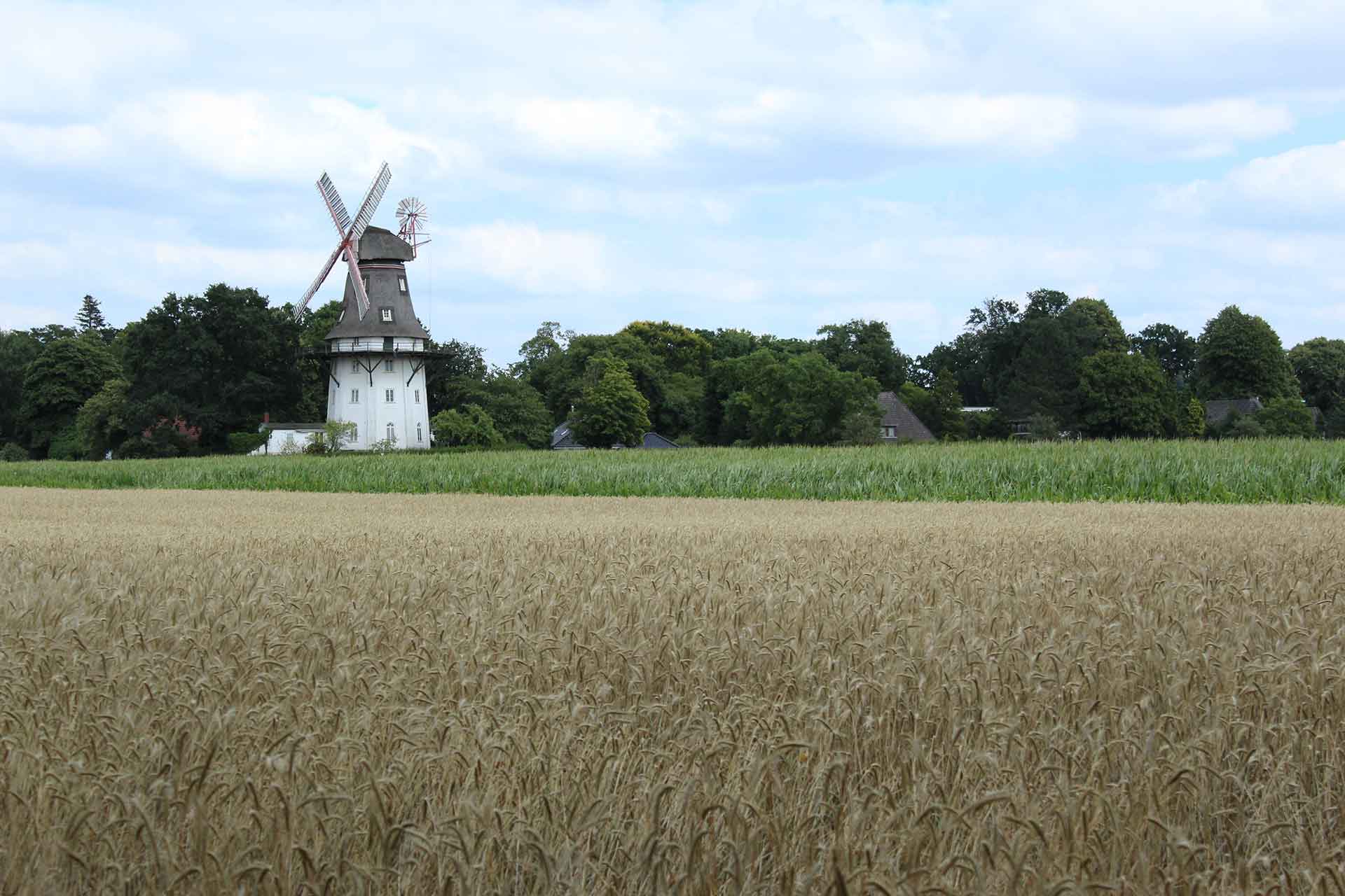 Mühlenfeld Oberneuland