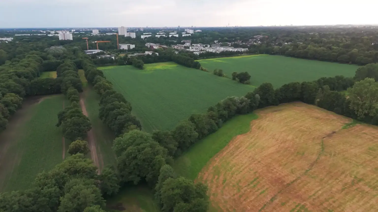 Wohnpark Oberneuland: „So nicht“ – warum die Senatspläne nicht überzeugen